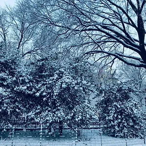 https://harlem-grand.us-newyorkcity.com